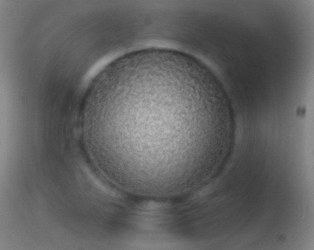 X0000114131271200910151536