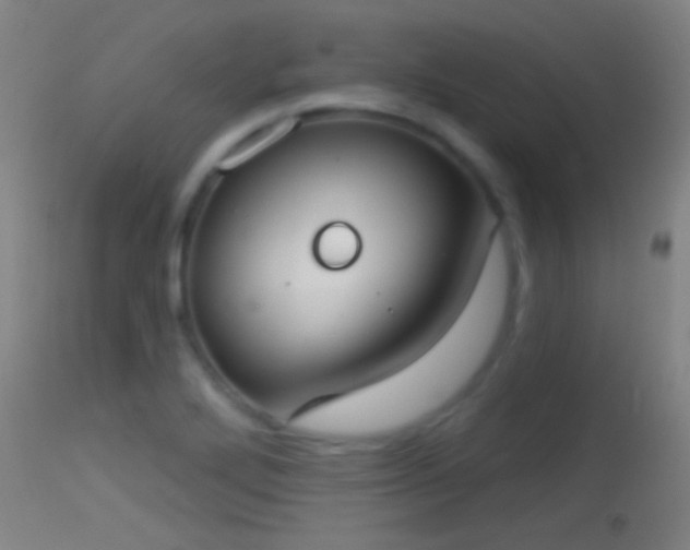 X0000114131272200910151536