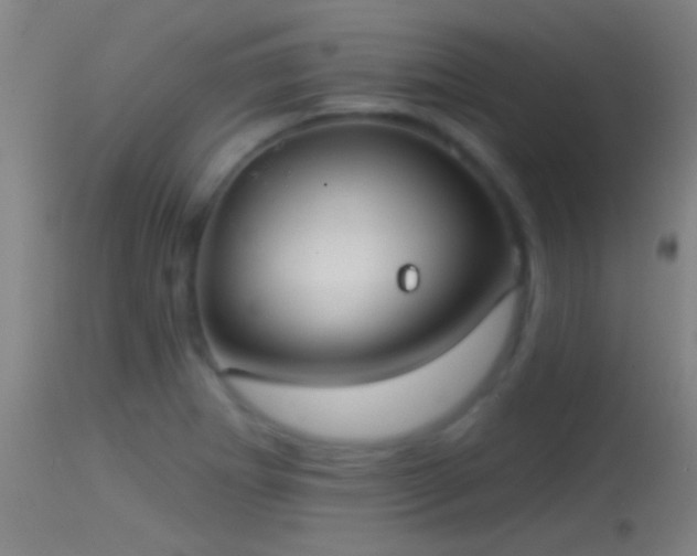 X0000114131273200910151536