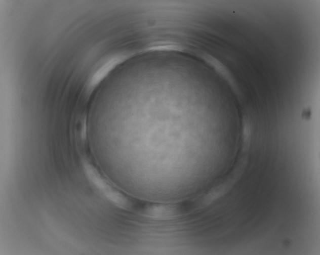 X0000114131274200910151536