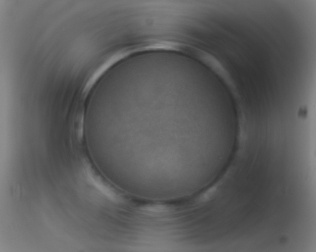 X0000114131276200910151536