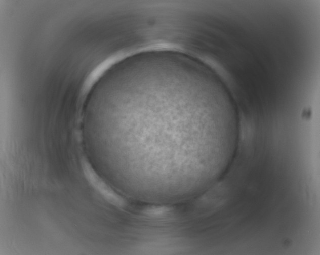 X0000114131278200910151536