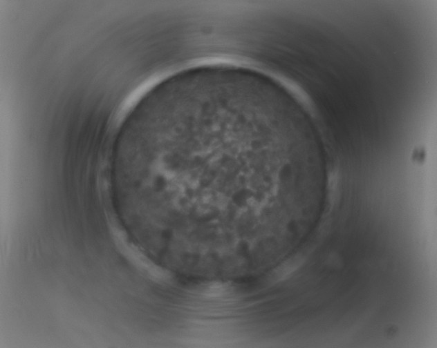 X0000114131279200910151536