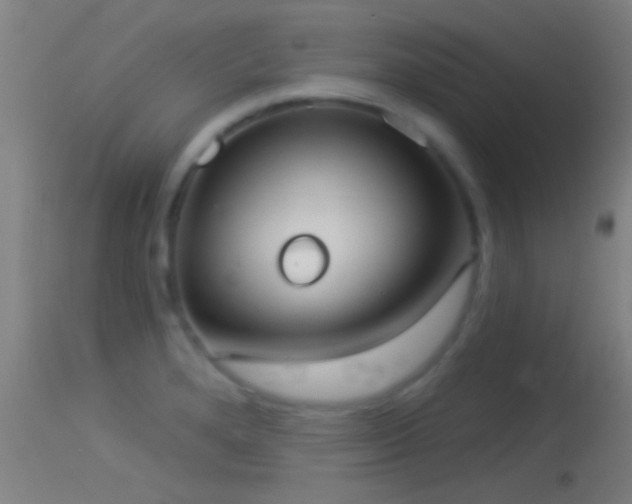 X0000114131280200910151536