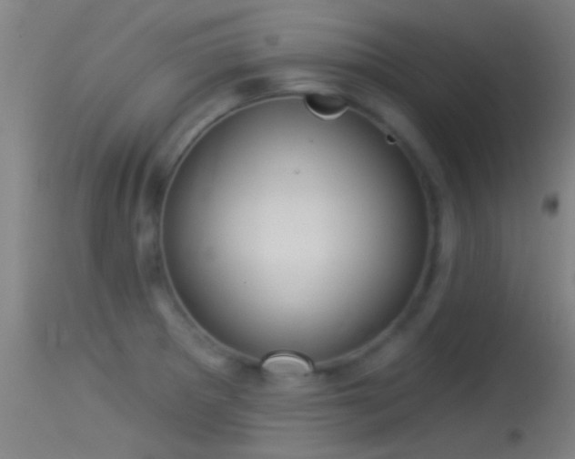 X0000114131281200910151536