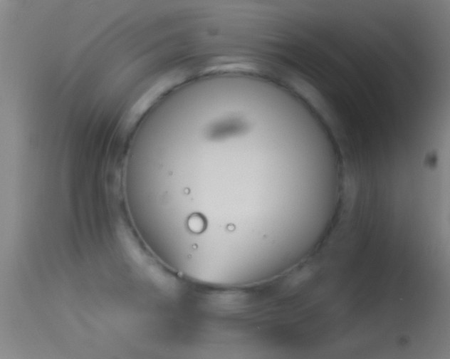 X0000114131282200910151536