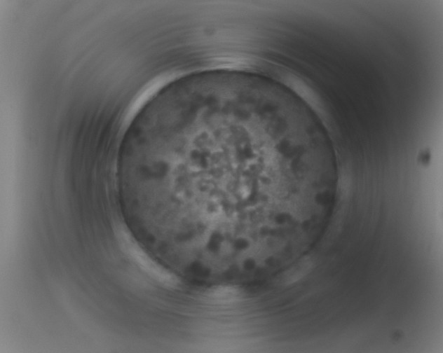 X0000114131283200910151536