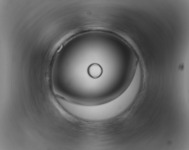 X0000114131285200910151536