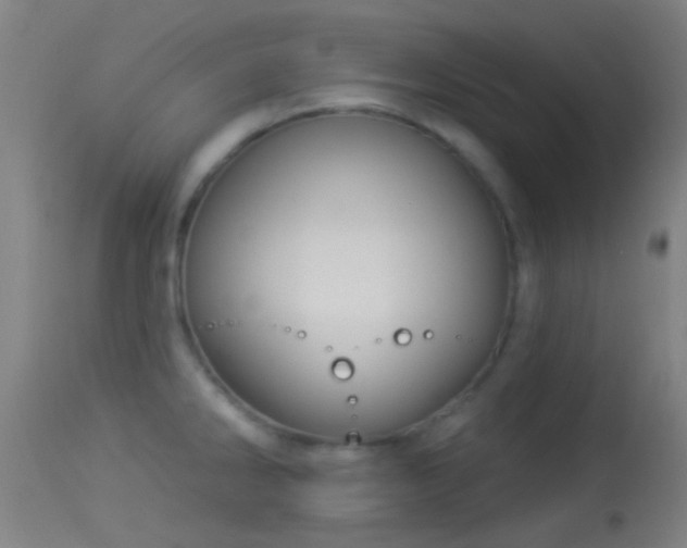 X0000114131286200910151536