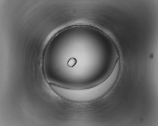 X0000114131288200910151536