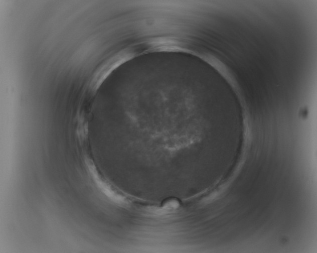 X0000114131289200910151536