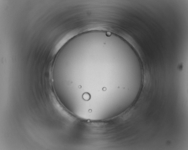 X0000114131290200910151536