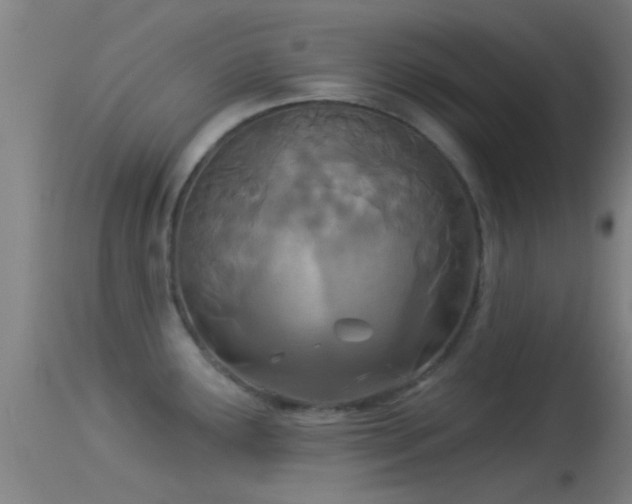 X0000114131291200910151536