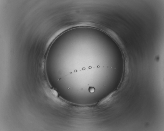 X0000114131292200910151536