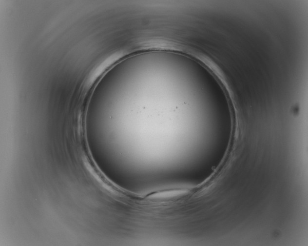 X0000114131293200910151536