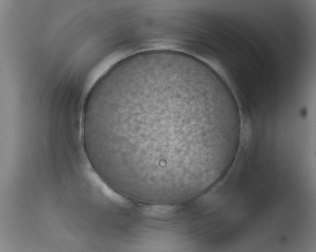 X0000114131294200910151536