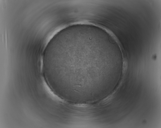 X0000114131295200910151536