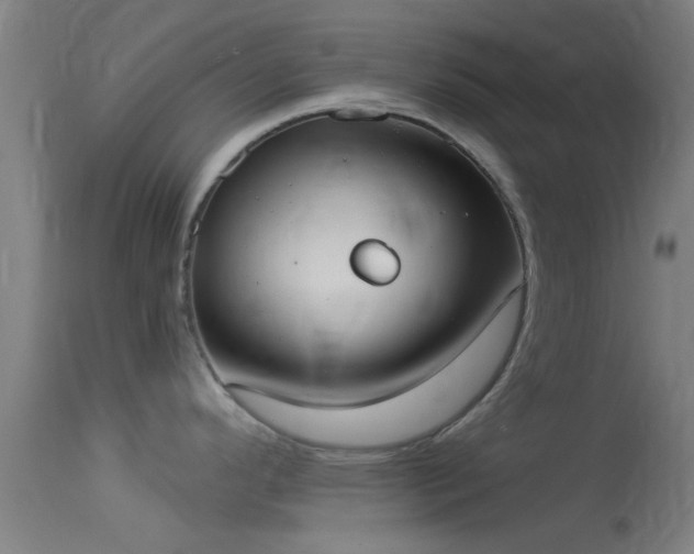 X0000114131296200910151536