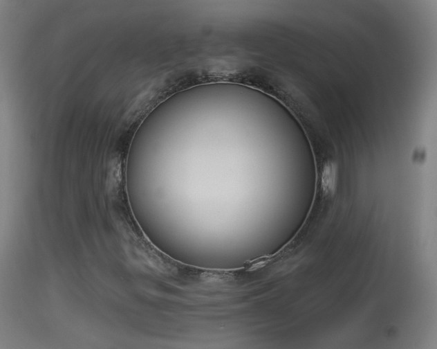 X0000114131299200910151535