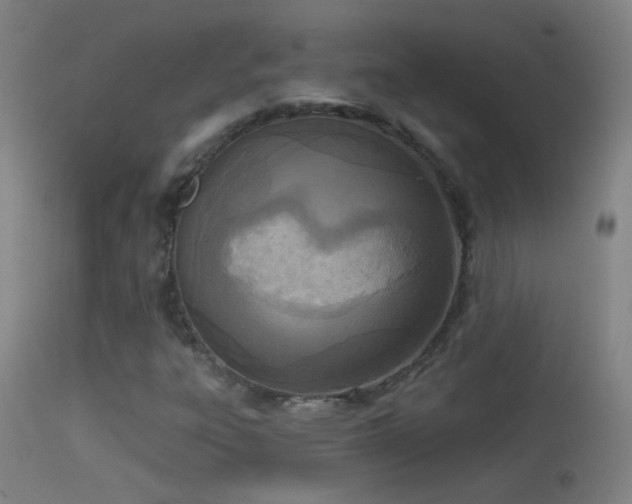 X0000114131303200910151535