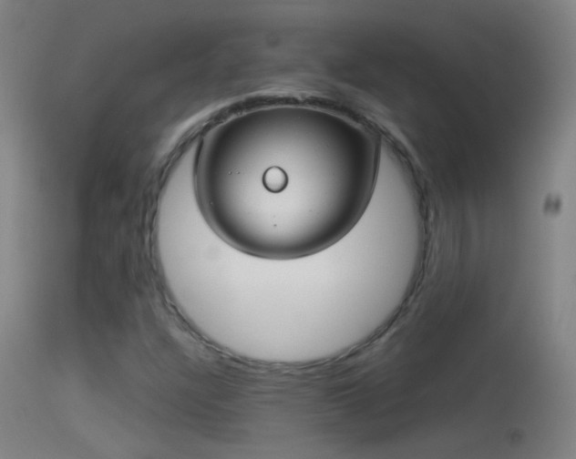 X0000114131304200910151535