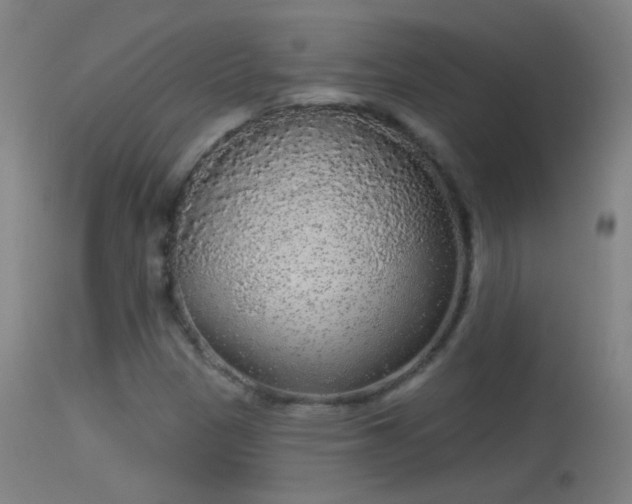 X0000114131305200910151535