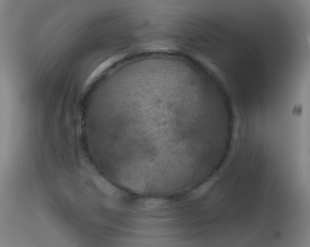 X0000114131306200910151535