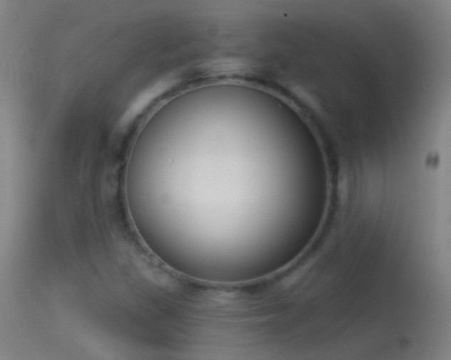 X0000114131309200910151535