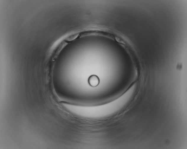 X0000114131310200910151535