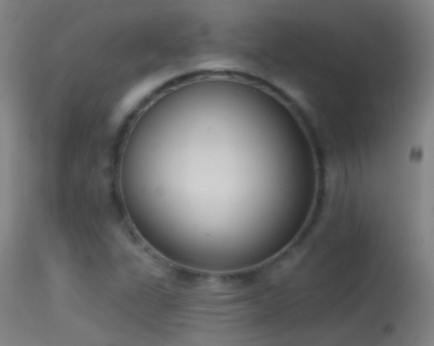 X0000114131311200910151535