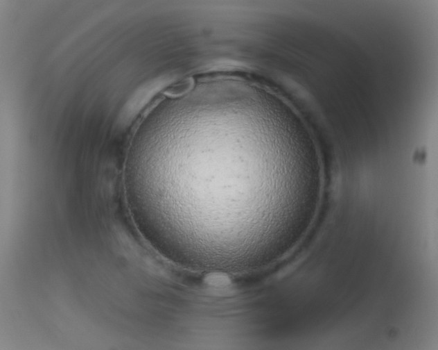 X0000114131313200910151535