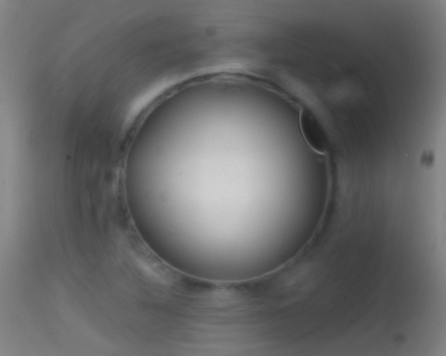 X0000114131316200910151535