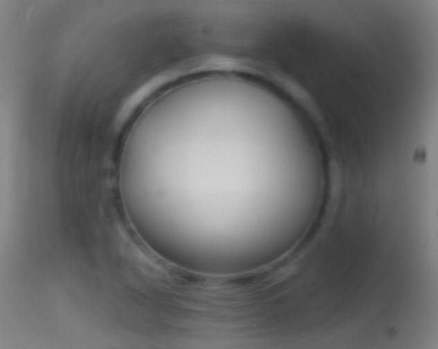 X0000114131318200910151535