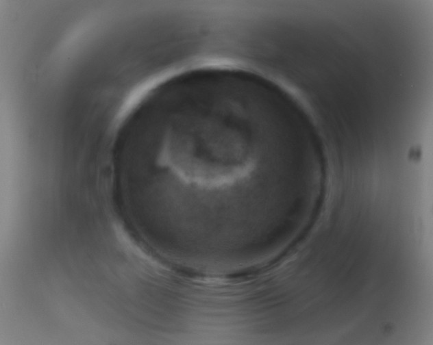 X0000114131319200910151535