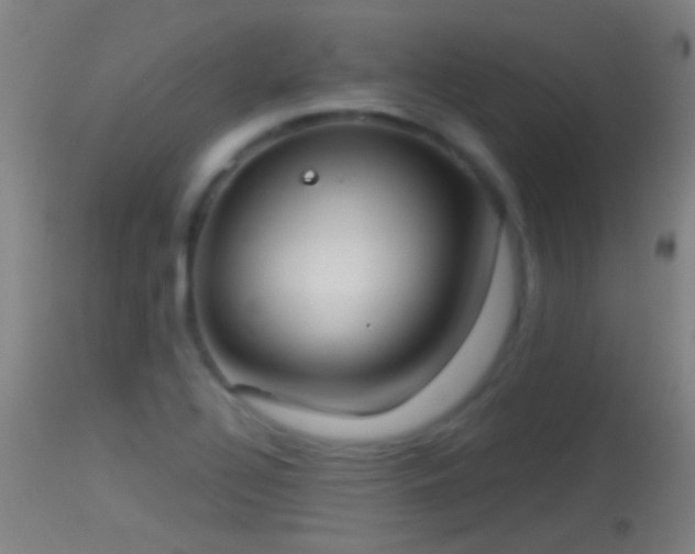 X0000114131320200910151535