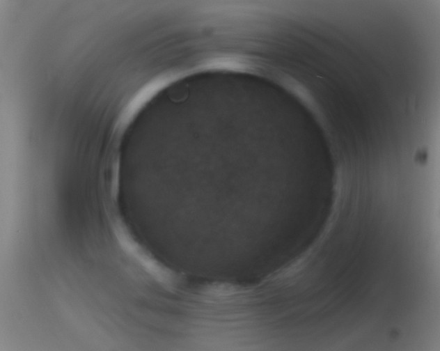 X0000114131323200910151535