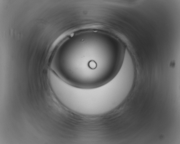 X0000114131324200910151535