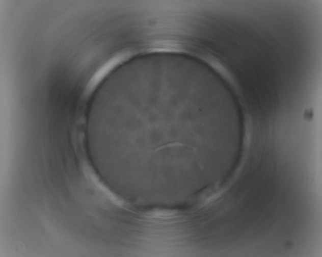 X0000114131325200910151535