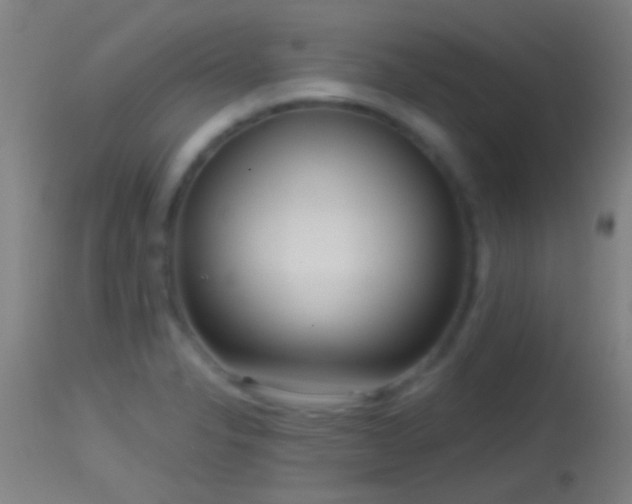 X0000114131326200910151535