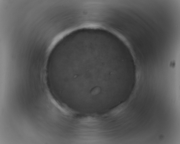 X0000114131327200910151535