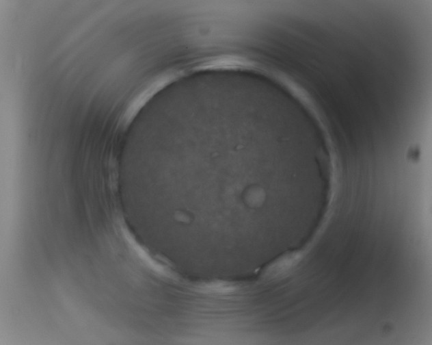 X0000114131329200910151535