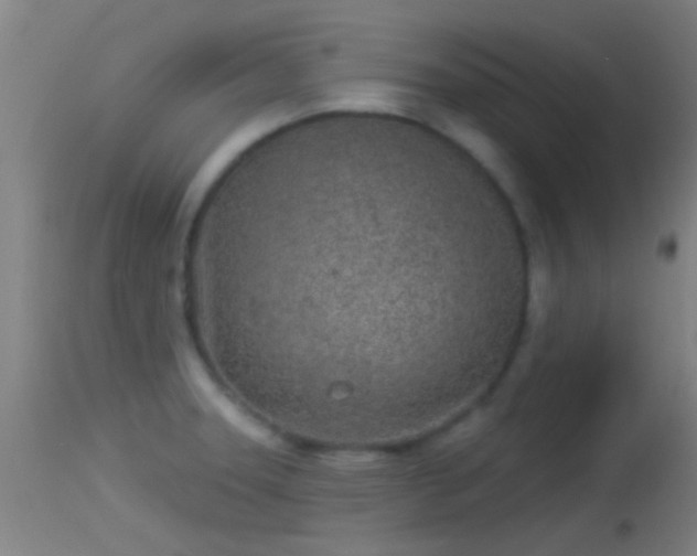 X0000114131331200910151535