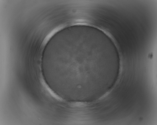 X0000114131333200910151535