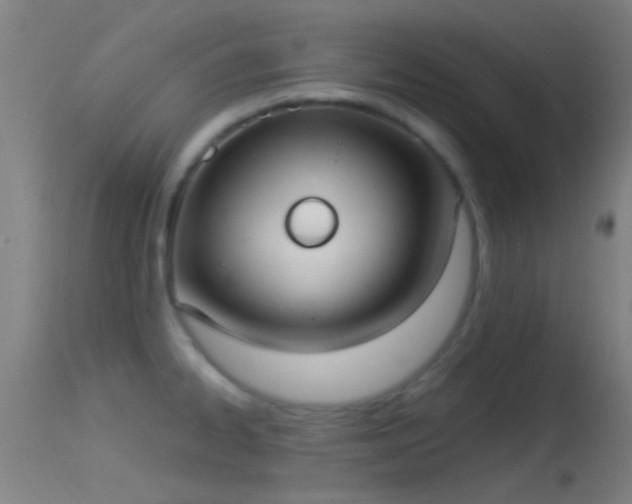 X0000114131334200910151535