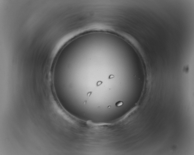 X0000114131335200910151535