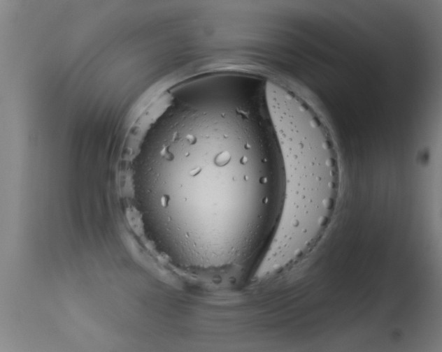 X0000114131338200910151535