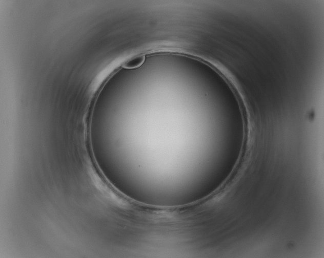 X0000114131341200910151535