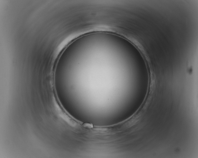 X0000114131342200910151536