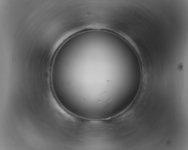 X0000114131343200910151536