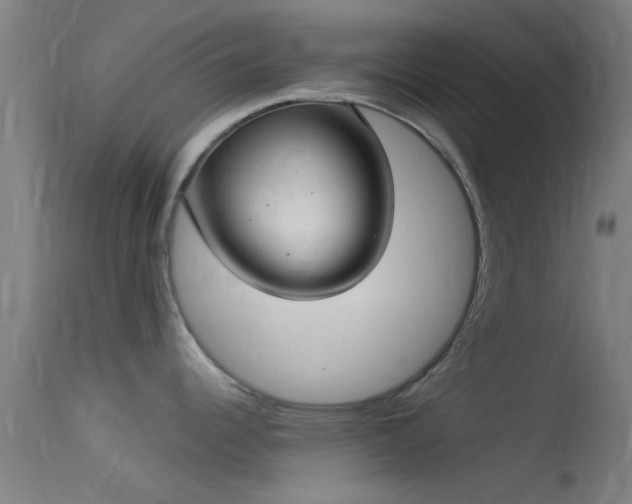 X0000114131344200910151536